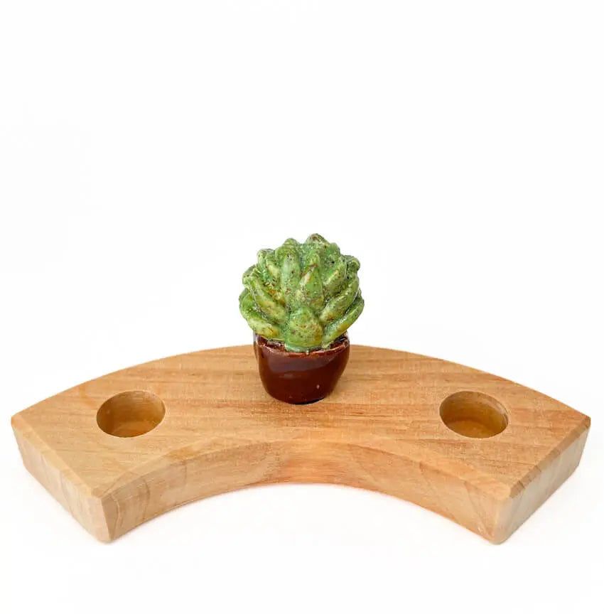 Vetplantje steker