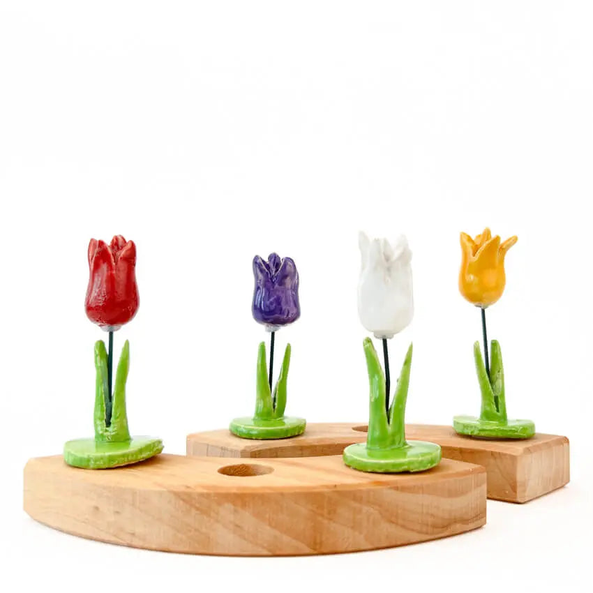 Tulp paars steker