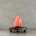 baby-natura-himalaya-zoutlamp-rood-usb-aan