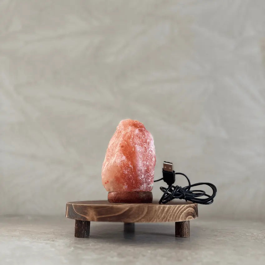 baby-natura-himalaya-zoutlamp-rood-usb