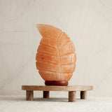 Himalaya zoutlamp blad rood