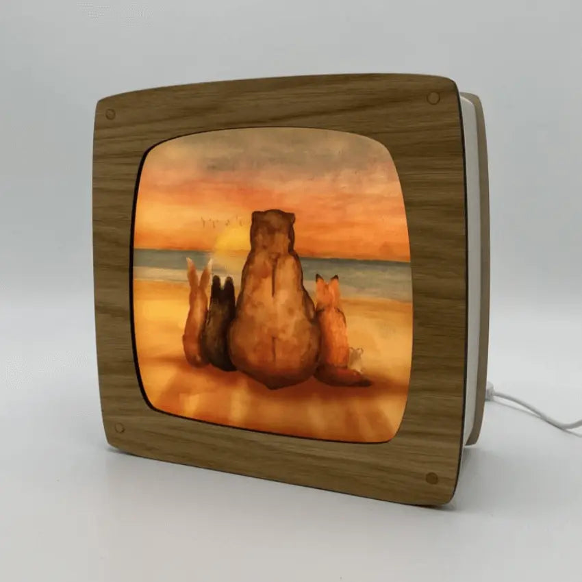 Toverplaat Watching Sunset