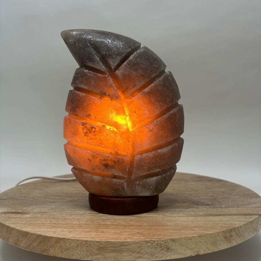 Himalaya zoutlamp blad grijs