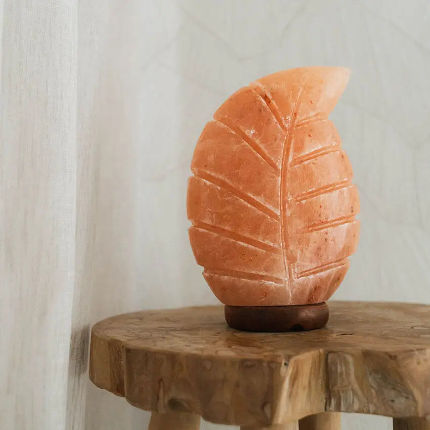 Himalaya zoutlamp blad rood